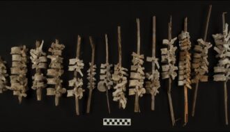 Nearly 200 human spines found threaded onto posts in Peru