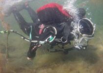 800-Year-Old Cog Shipwreck Found off Swedish Coast is One of The Oldest