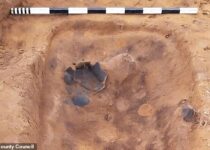 Oulton burial site: Sutton Hoo-era Anglo-Saxon cemetery discovered