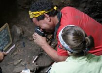 Migrants From South Carrying Maize Were Early Maya Ancestors