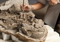 Archaeologists Suggest Evidence For Oldest Known Practise Of Mummification