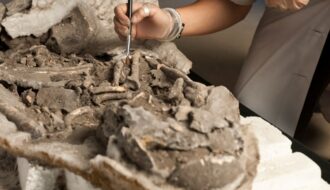 Archaeologists Suggest Evidence For Oldest Known Practise Of Mummification