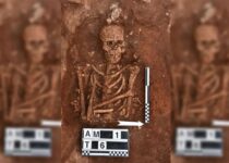 Ancient Viking burial ground discovered in southern Italy