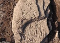 Mysterious Pictish stone is found in a farmer's field in Angus featuring abstract symbols