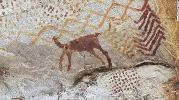 The camelid painting at the La Lindosa rock painting site in Colombia.