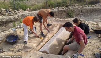 Amazingly preserved Visigoth coffin with human remains found buried under Roman villa in Spain