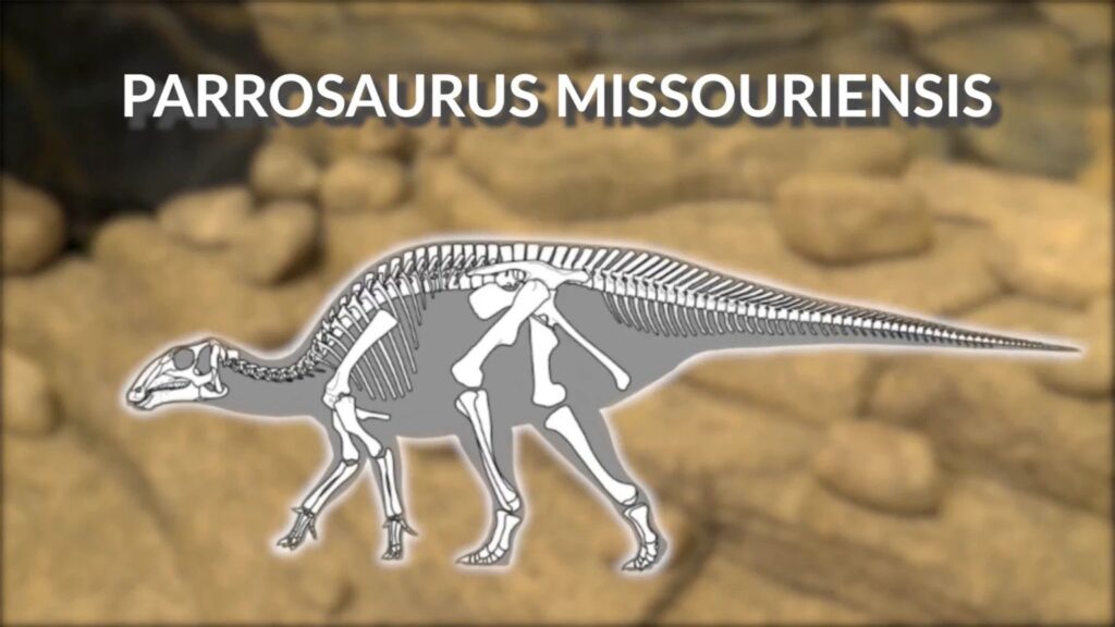 Bones of new dinosaur species discovered in Missouri 3 juvenile remains of a Parrosaurus Missouriensis
