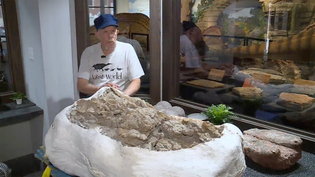 Bones of new dinosaur species discovered in Missouri 2