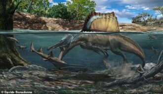 Dense bones allowed Spinosaurus to hunt underwater, study shows