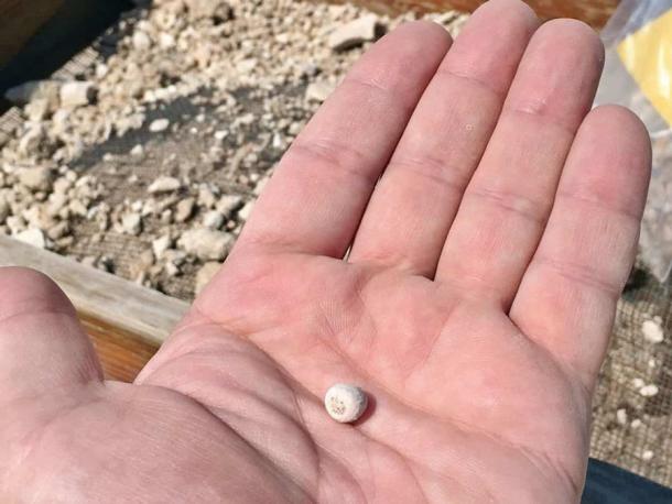 pearl bead ever found in Qatar