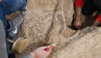 4000-year-old boat salvaged near the ancient city of Uruk