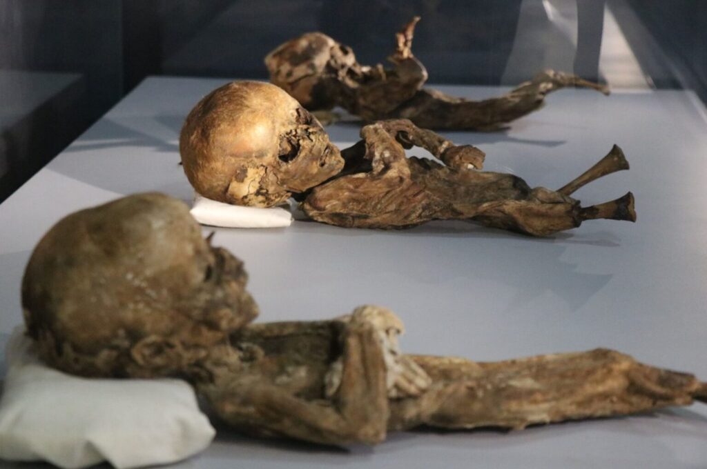 Mummies of babies displayed at the Aksaray Museum, in Aksaray, Turkey