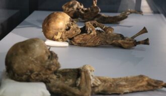 1000-year-old Cats and Babies mummies of Turkey’s