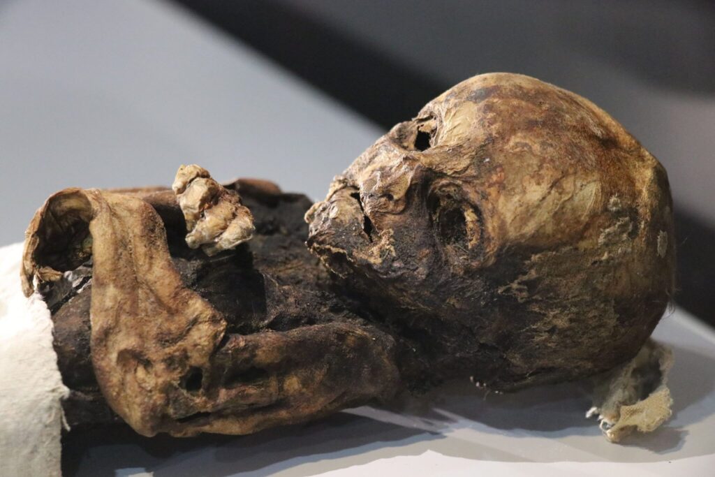 A mummy of a baby displayed at the Aksaray Museum, in Aksaray, Turkey