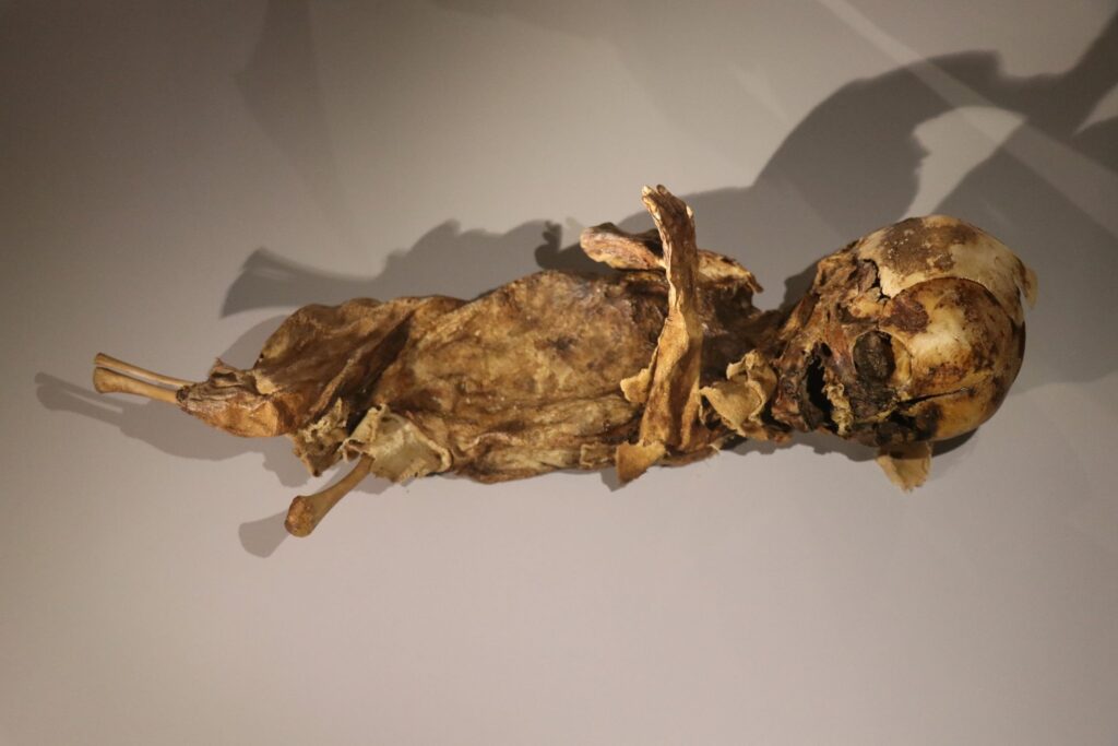 A mummy of a baby displayed at the Aksaray Museum, in Aksaray, Turkey