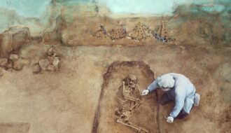 The height of the first European farmers did not meet expectations