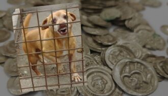 Dog Kajtuś uncovers Poland’s biggest treasure of the past 100 years