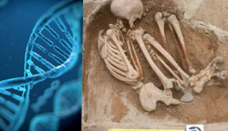 Bronze Age Orkney Welcomed Female Migrants, Claims Controversial Paper