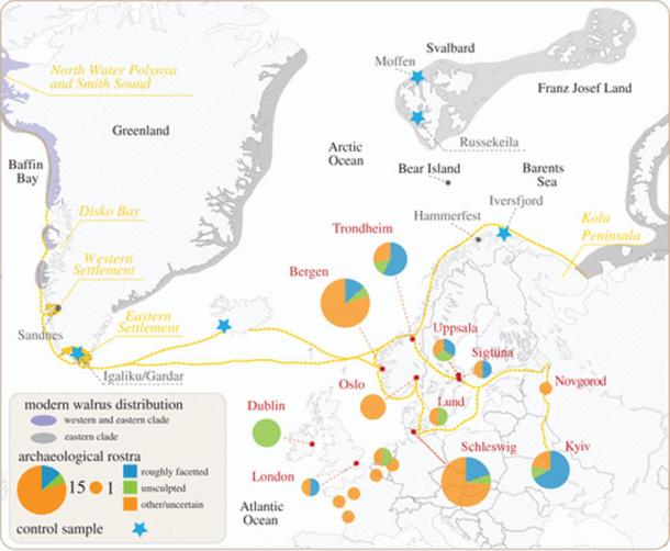 Distribution of medieval European finds of walrus rostra