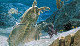 518-Million-Year-Old-Rocks Suggest Animal And Human Life May Have First Emerged In China