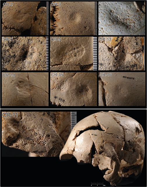  Sima de los Hueso skull collection