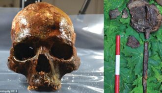 8,000-Year-Old Heads on Stakes Found in Mysterious Underwater Grave