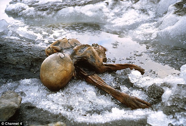 Otzi's mummified remains