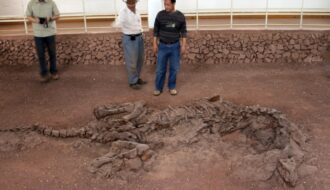 Fossilised Protein Has Been Discovered Inside a 195-Million-Year-Old Dinosaur Bone