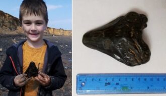 Schoolboy Finds A Huge 3,000,000-Year-Old Megalodon Shark Tooth On British Beach