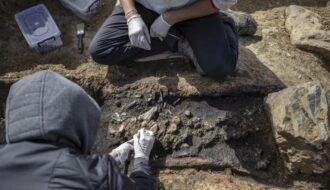 2,300-year-old rare tomb found, save part of cremated body
