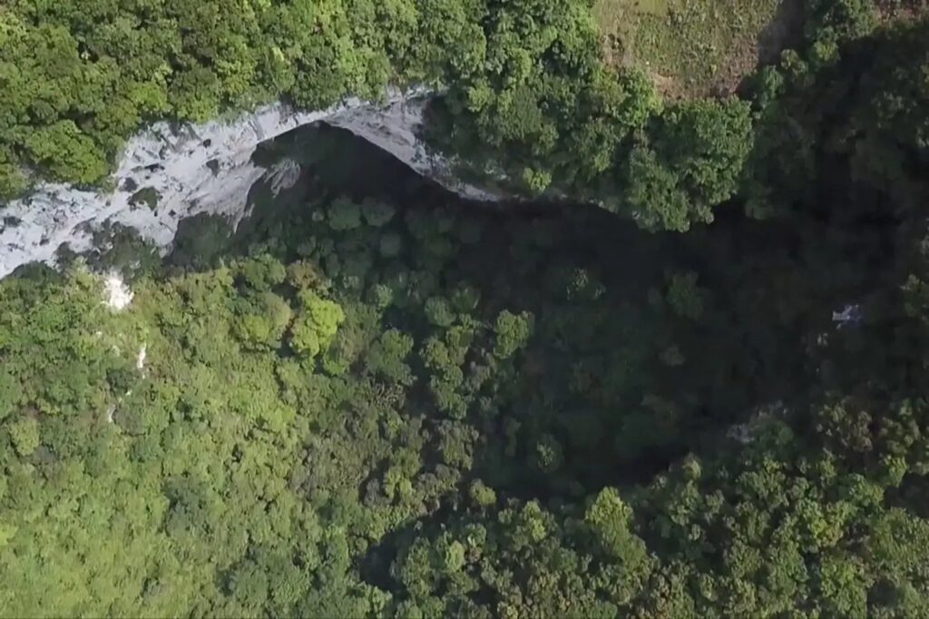 Chinese spelunkers have discovered a massive 630-foot sinkhole with a primeval forest