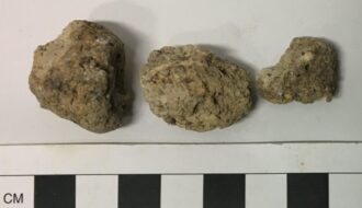 Stonehenge builders were infested with parasites, ancient poop reveals