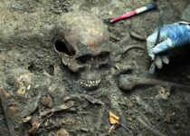 Skeletons found near Durham cathedral were Oliver Cromwell's prisoners