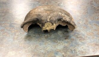 8,000-year-old skull found in Minnesota River goes home to its Native American descendants