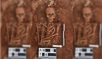 Archaeologists Discover “Massive” Skeletons of Viking Descendants In Sicily