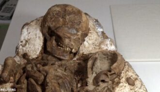 Taiwan finds 4,800-year-old fossil of mother cradling baby