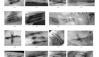 Scientists Have Mapped All of Ötzi the Iceman's 61 Tattoos