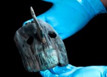 Thousands of wooden objects and offerings recovered from the Aztec Templo Mayor