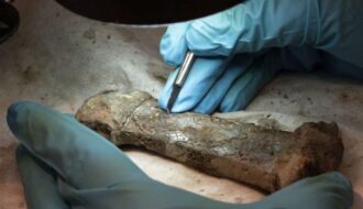 Unique sword from the Viking Age found in Stavanger