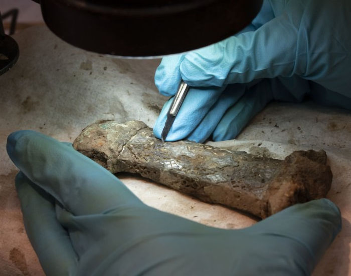 sword from the Viking Age