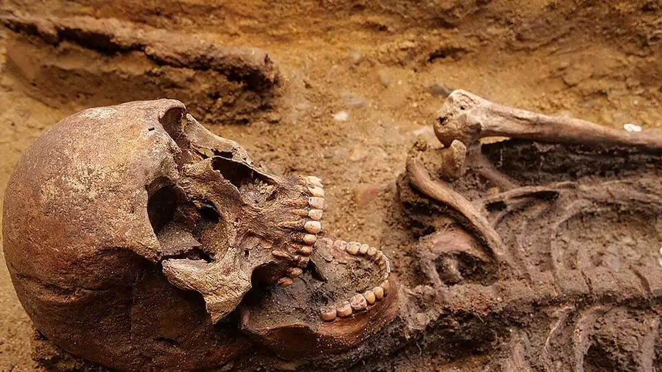 Young man’s grave discovered at Germanic Langobard burial site 