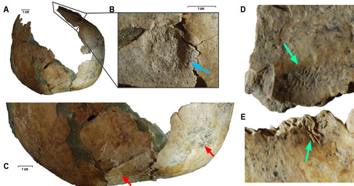 Genetic analysis of Neolithic people