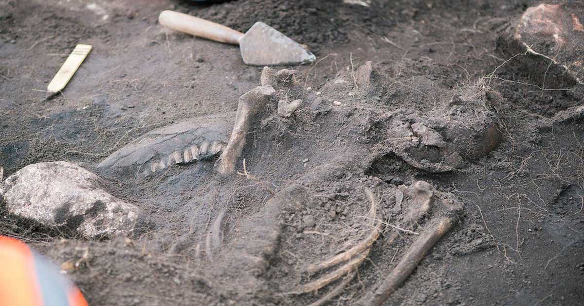 Scandinavia elucidates Viking age