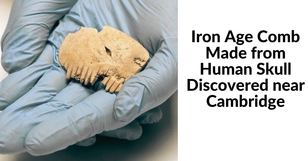 Iron Age Comb Made from Human Skull Discovered near Cambridge